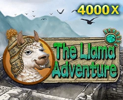 JDB : Llama Adventure - STONEBET88